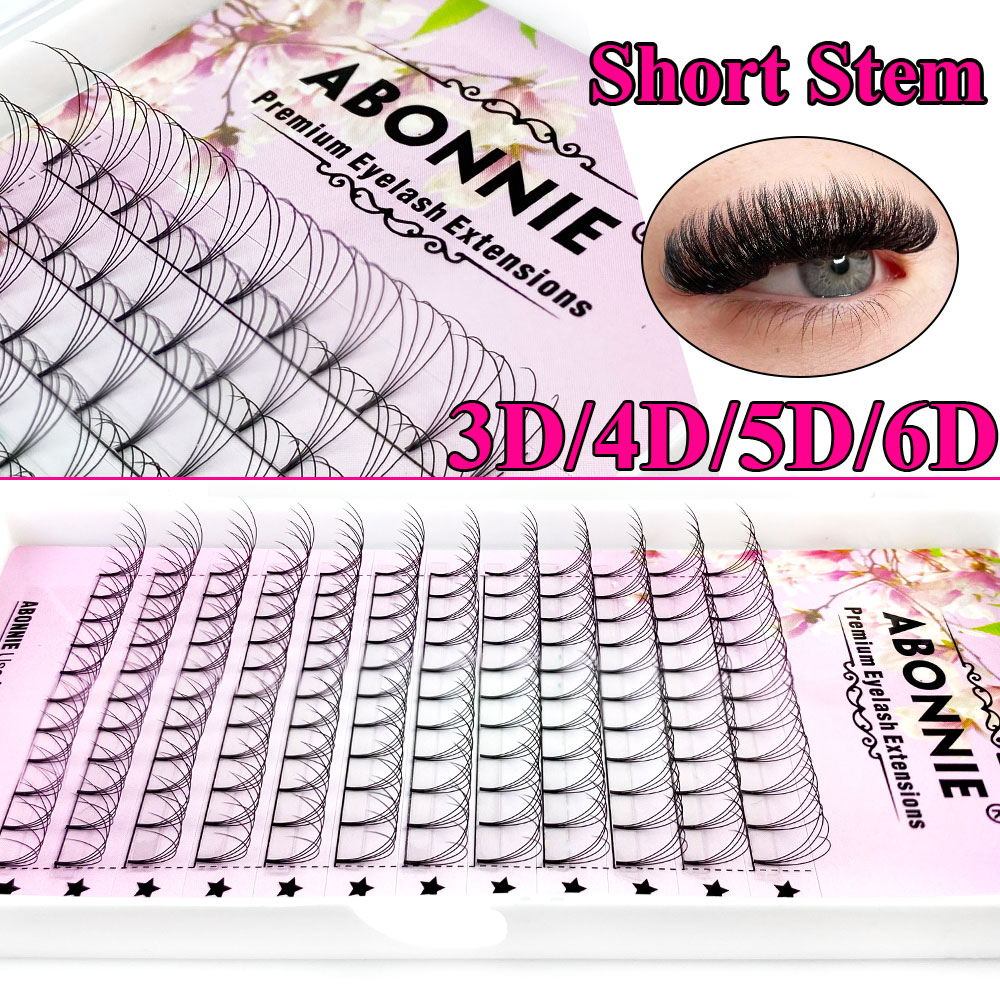 Abonnie 6D Narrow Fan Premade  - Eyelash Extension For Asian Eyes recensie en prijs
